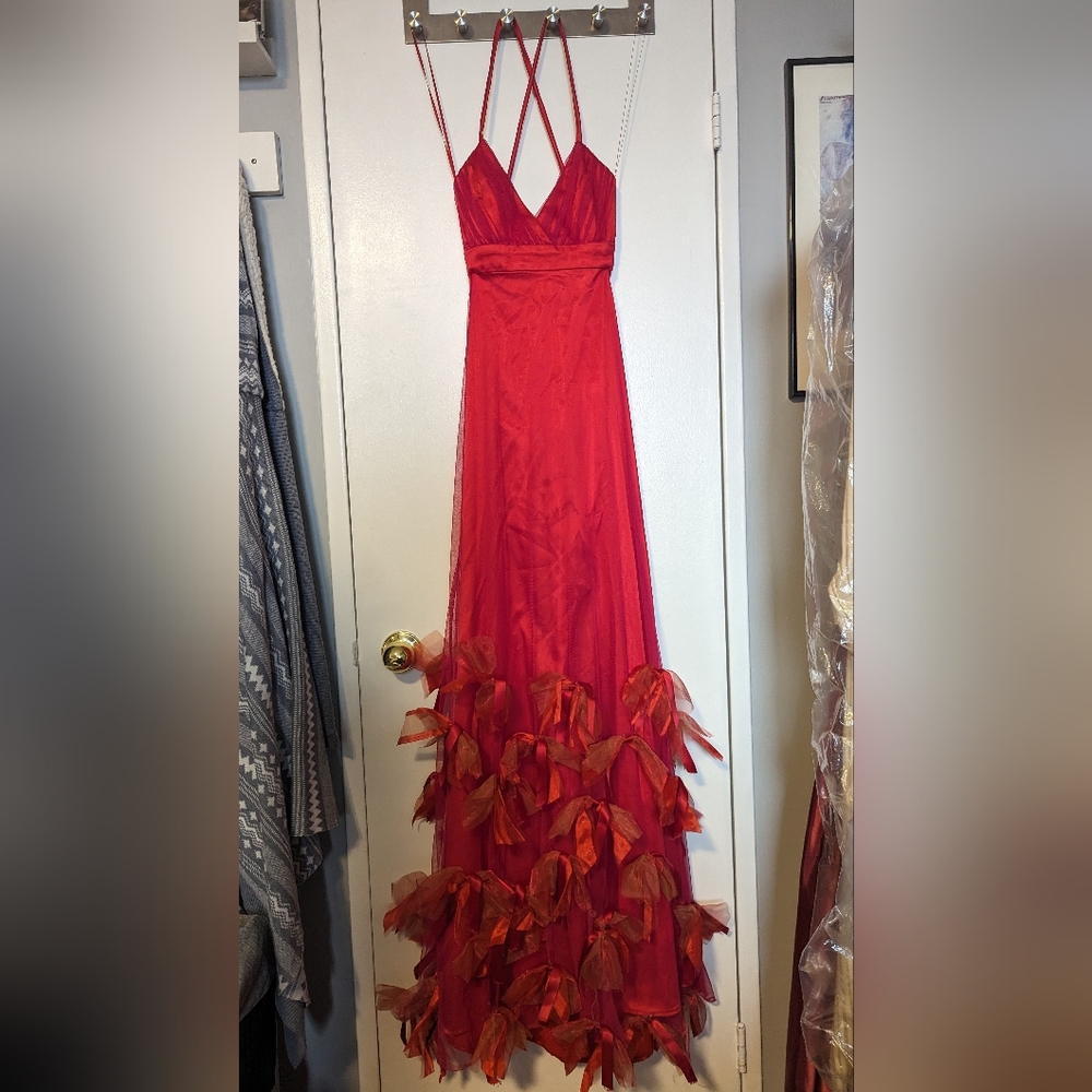 Sunning Unworn Pam Chorley Designer Gown - Picture 3 of 6